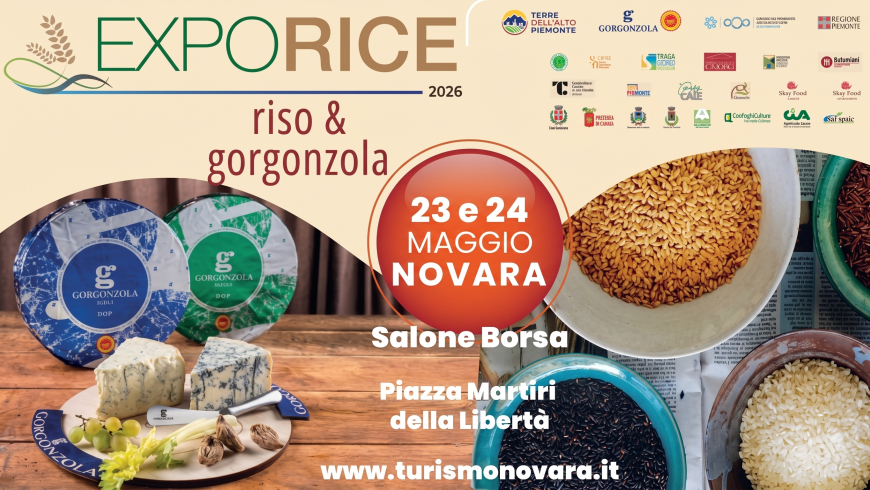Exporice - Riso e Gorgonzola 